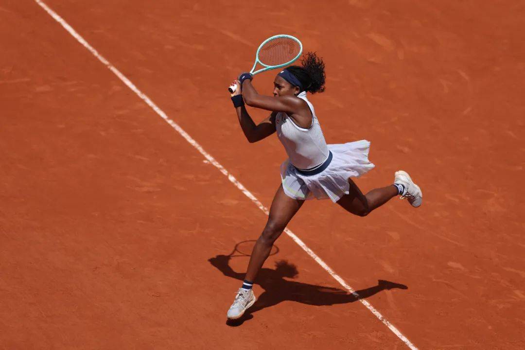 专业人士对 专业人士对